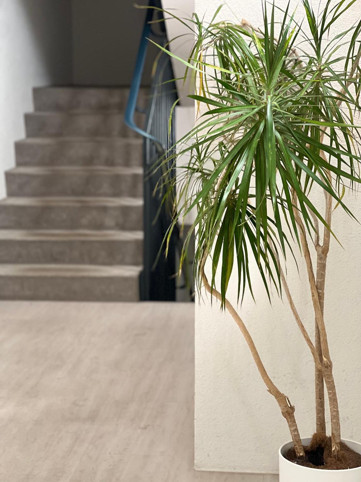 Alt Ap Apartman Wuppertal Kültér fotó